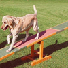 Agility Wippe