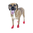 Pawz Dog Boots Hundeschuhe