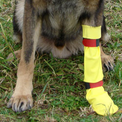 WESEEDOO Hundeschuhe Sommer Pfotenschutz Hund Hitze Hundestiefel Für Verletzte Pfoten Wasserdicht Hundeschuhe Für Große Hunde Hund Regenstiefel pink,XL/5