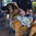 Ruff Wear Singletrak Pack™  Hunde-Trink-Rucksack
