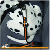 Kurgo Direct to Seatbelt Teather Gurtadapter